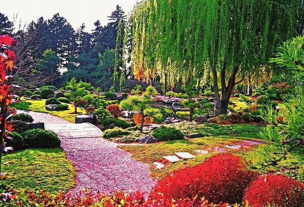 Jardines del alojamiento
