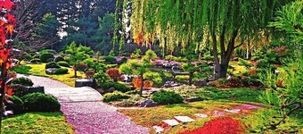 Meadowlark ~ Adorable Basement Apt. I nærheten av Denver