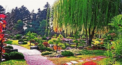 Niittyhelma ~ Suloinen kellarikerros Apt. Lähellä Denveriä