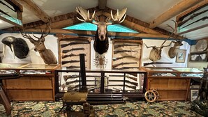 A room with wooden beams, mounted animal heads, and a rifle on a stand.