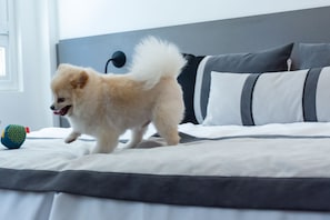 Thân thiện với vật nuôi