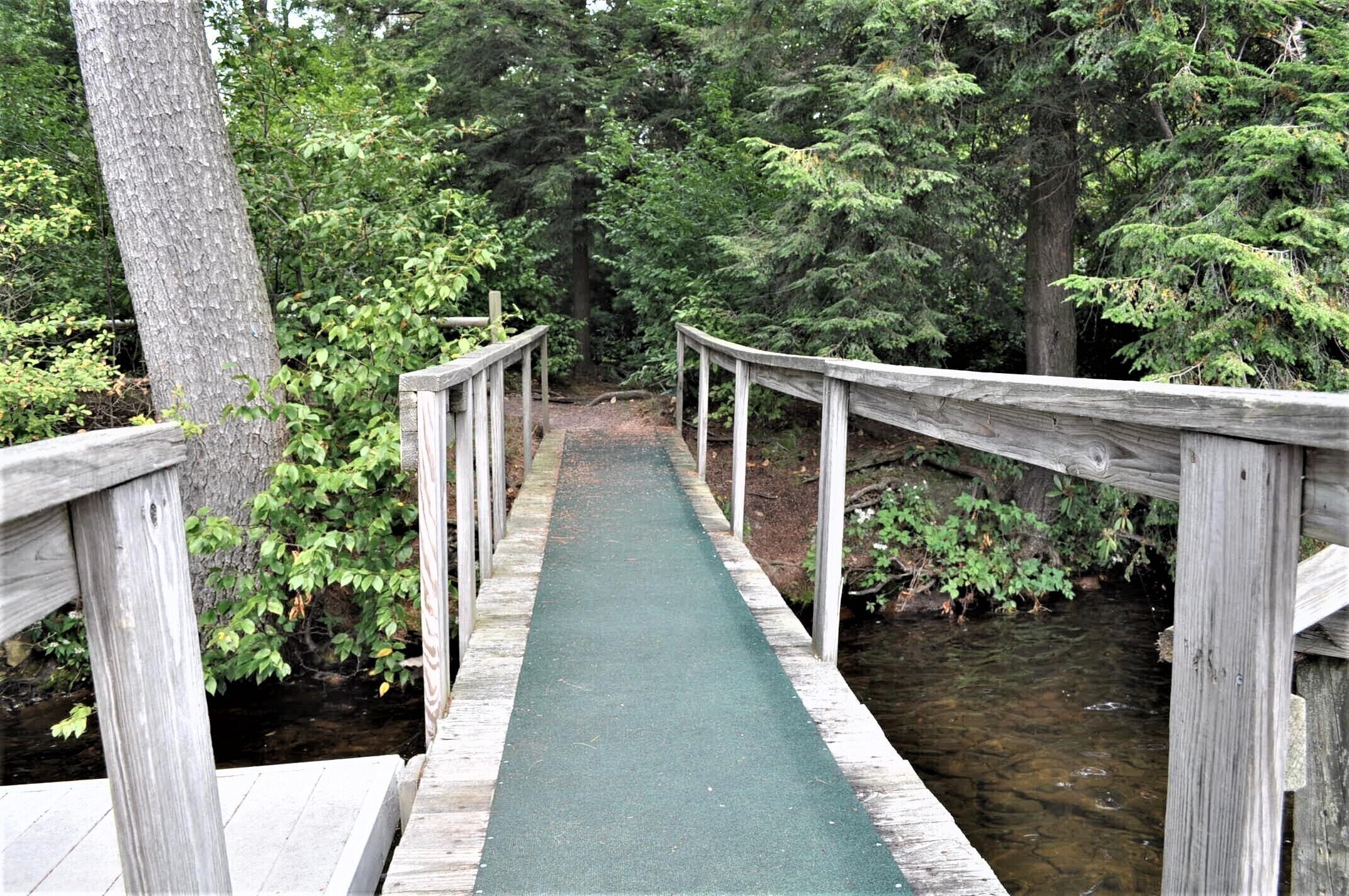A wooden bridge with a green walkway over a stream, surrounded by trees.