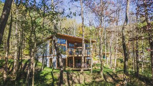 Une cabane moderne dotée d’une grande façade vitrée, entourée d’une forêt.