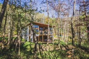 A modern cabin with a large glass facade, surrounded by a forest.