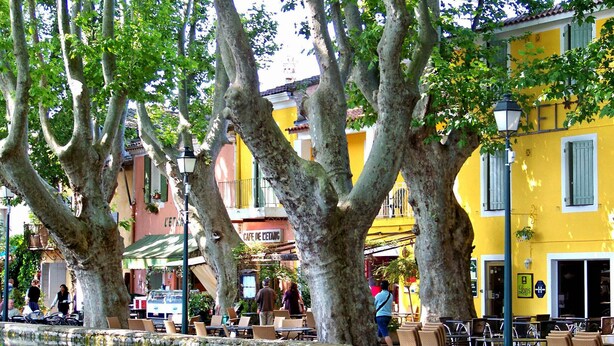 Une cour avec un bassin, des arbres et des espaces aménagés pour s’asseoir à l’extérieur.