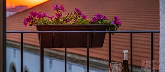 Gallery 37 Powered by ASTON