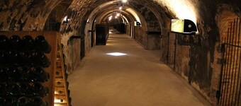 The Cocoon of Enjoy in Champagne