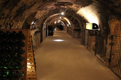 Cosy apartment in the heart of Champagne near cellars, Epernay.
