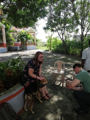 Terrein van de accommodatie