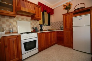 Fridge, oven, stovetop, electric kettle