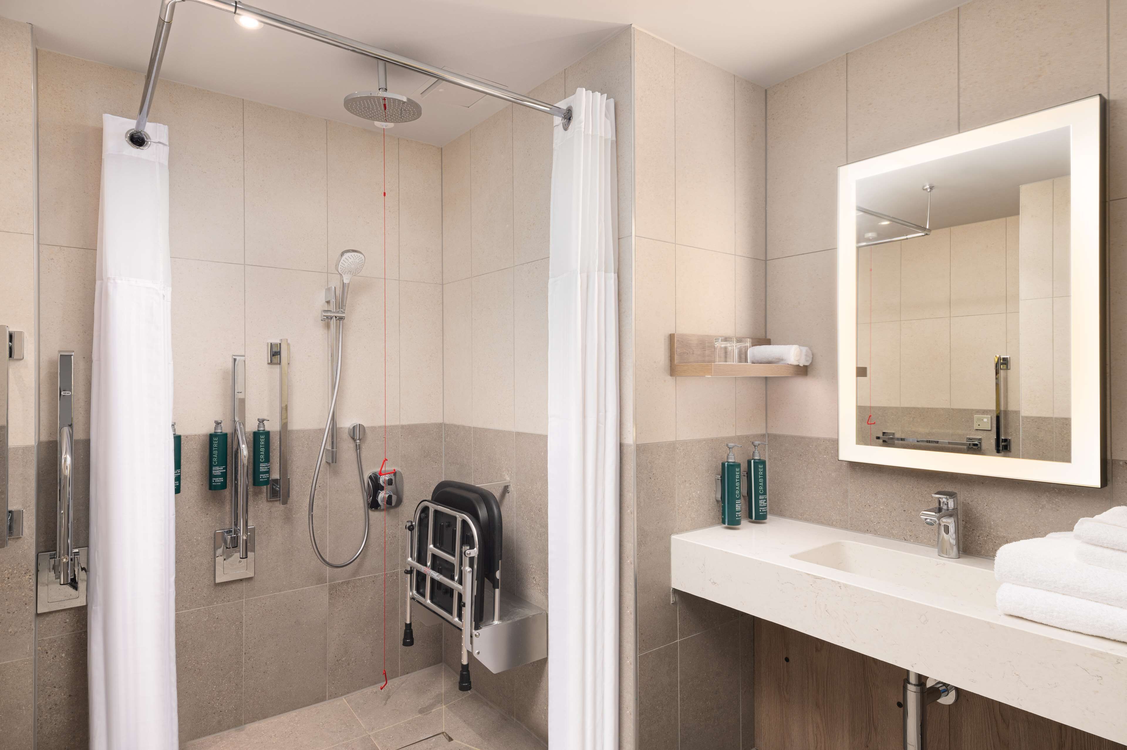 room, 1 king bed, accessible | bathroom shower