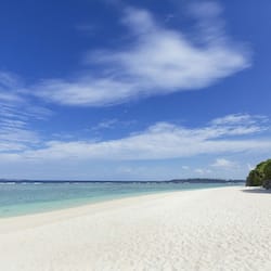 靠近海滩、白沙、水肺潜水