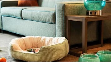 A cozy living room with a sofa, a small side table, and a pet bed.