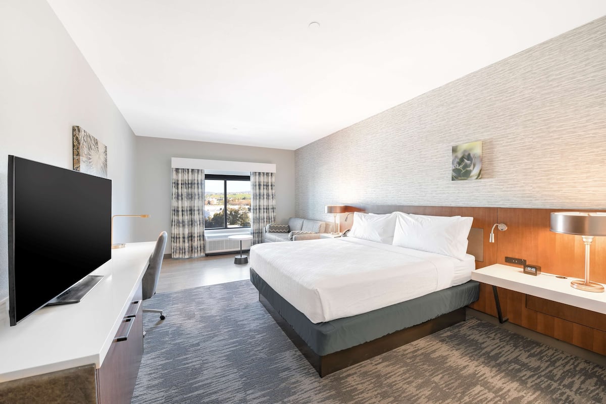 A modern hotel room with a large bed, a flat-screen TV, a desk, and a view of the outdoors.