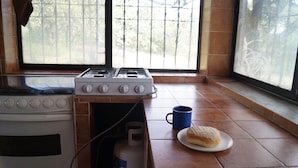 A kitchen with a gas stove, an oven, a window with a view of trees, and a blue mug on the counter.