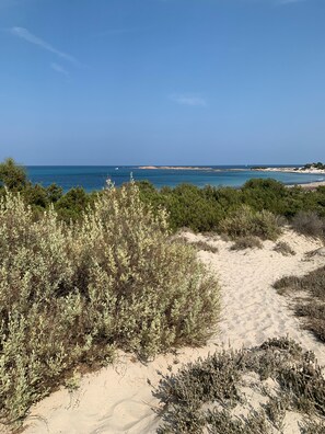 Playa
