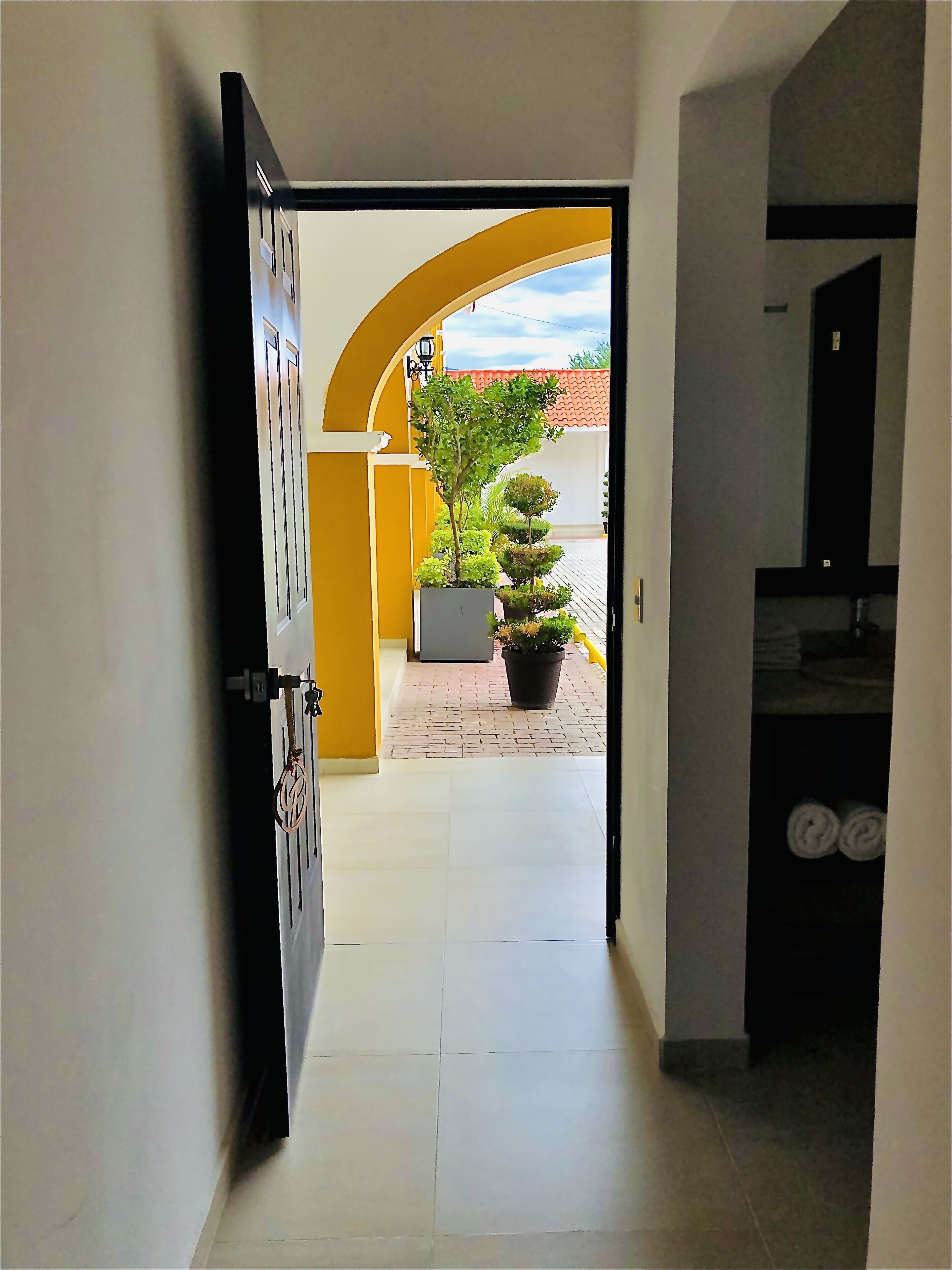 Un pasillo que da a un patio con un árbol en maceta y piso de baldosas.