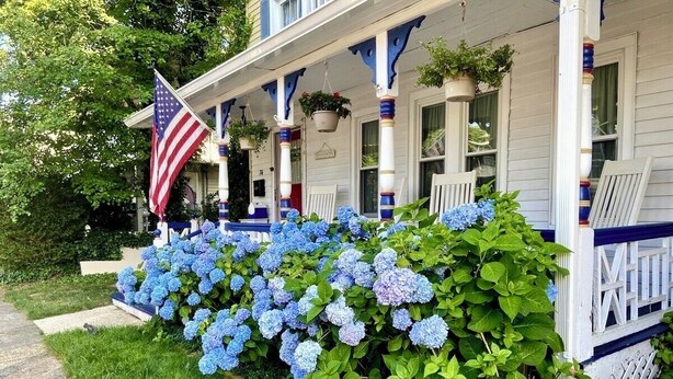 Une maison dotée d’un porche décoré d’hortensias bleus et d’un drapeau américain.