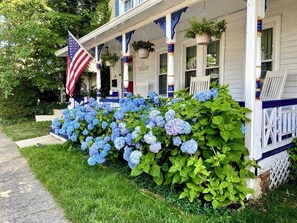 A house with a porch decorated with blue hydrangea flowers and an American flag.