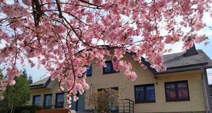 Apartment in Weywertz Near Ski Slopes