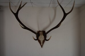 Casa de campo | Detalle del interior