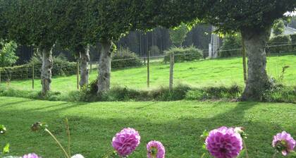 Cottage in Kuchelscheid With Terrace