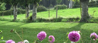 Cottage in Kuchelscheid With Terrace