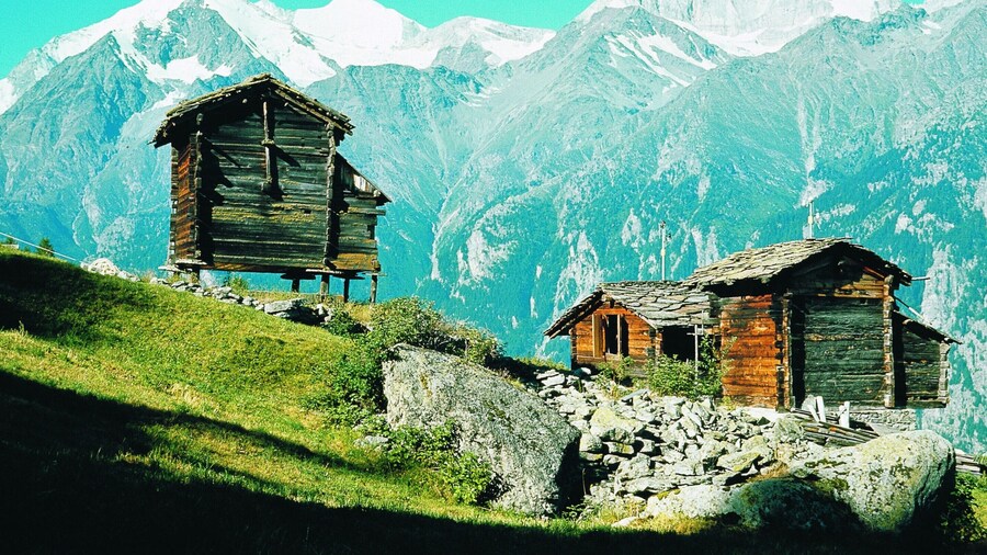 Spacious Chalet near Forest