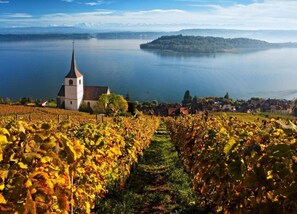 Apartment | View from property