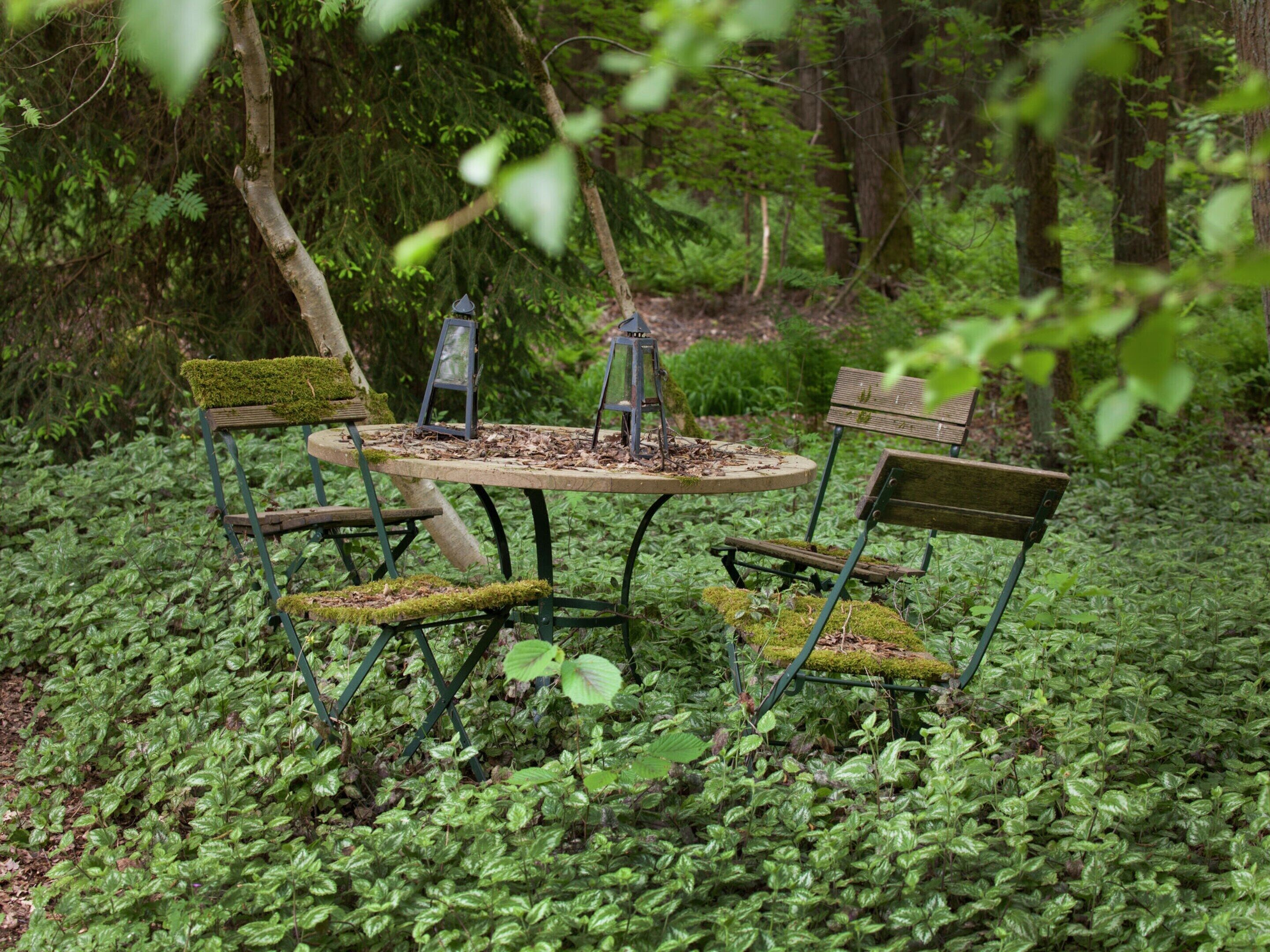 Een ronde houten tafel met twee stoelen, omringd door weelderig groen.
