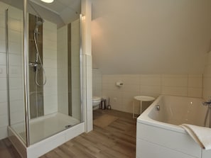 Combined shower/tub, hair dryer