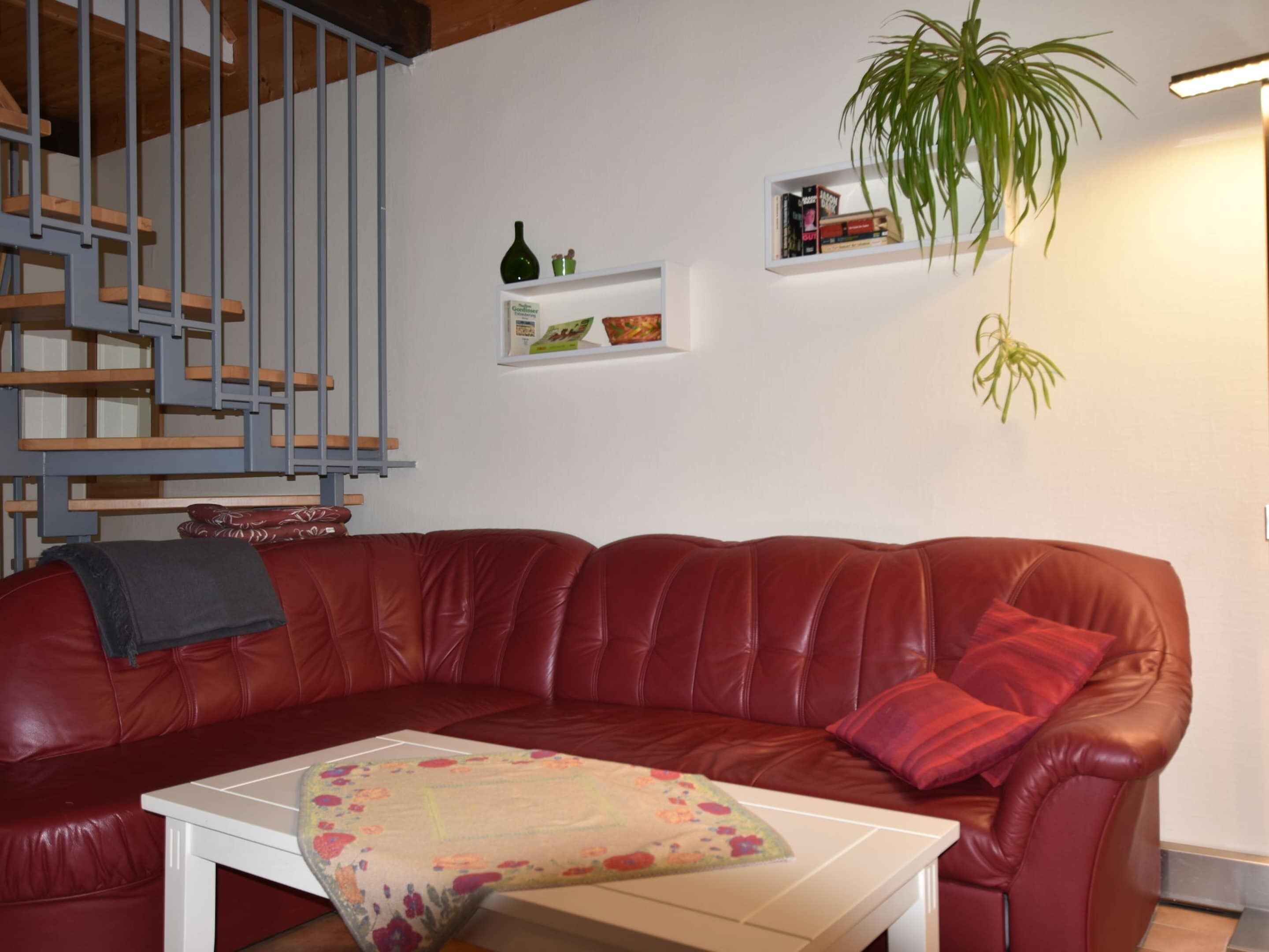 Un canapé en cuir rouge agrémenté d’un coussin à motifs floraux, une table basse blanche, une bibliothèque avec des livres et une bouteille, et une plante suspendue.