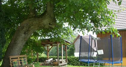Apartment in Lichtenhain With Garden