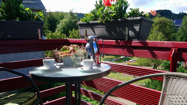 Un balcon avec une table, des chaises et des plantes en pot.