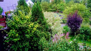Un jardin avec différentes plantes et arbres, un banc et un bâtiment avec une porte rouge.