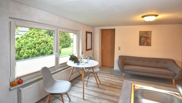 Une pièce comprenant une table à manger, deux chaises, un canapé, un radiateur et une fenêtre donnant sur un espace verdoyant.