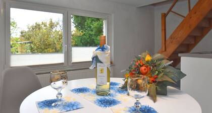 Holiday Home With Terrace in the Harz Mountains