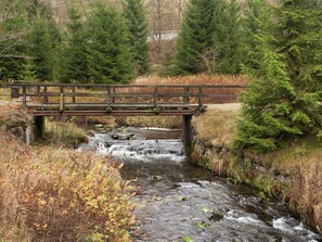 Eine Holzbrücke über einen Fluss, umgeben von dichtem Grün und Bäumen.