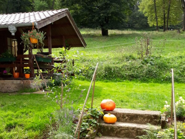 Balcony - Apartment With Panoramic View (Brotterode-Trusetal)