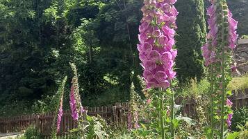 Apartemen | Eksterior