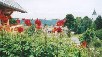 Apartemen | Pemandangan dari properti