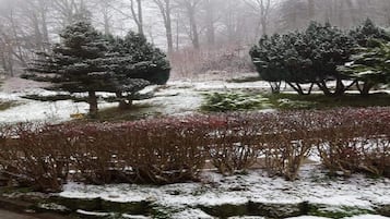 Apartment | View from property