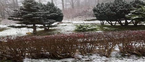 Apartment | View from property