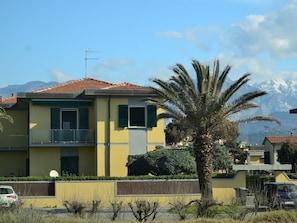 Exterior - Seaside Getaway- Pet-friendly (Carrara)