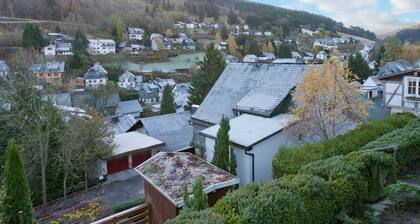 Sophisticated Holiday Home in Schwalefeld near City Center