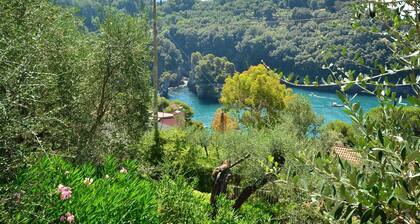 Quaint Holiday Home in Lerici With Fenced Garden