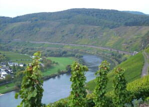 View from property - Apartment in Zell Near Mosel River & Vineyards (Zell (Mosel))