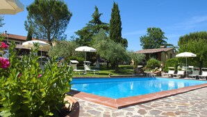 Pool - Nice & Cozy Apartment in Natural Environment near Chianti Valley (Castiglion Fiorentino)