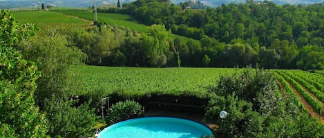 House | Pool