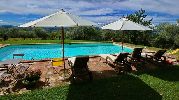A swimming pool with lounge chairs and umbrellas, surrounded by a grassy area and trees. - Farmhouse in Todi With Pool & Theater Nearby (Todi)